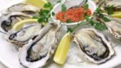 fresh oysters plate