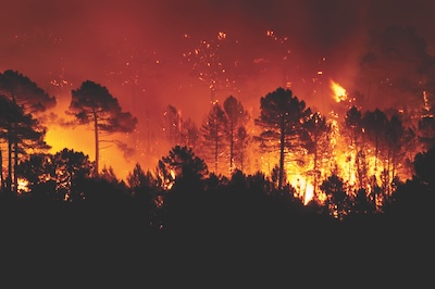 Natural disasters like wildfires and flooding impact food safety. Climate change is exacerbating these types of emergencies. Photo © JAH / Adobe Stock