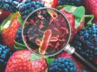 Climate change is causing frequent weather disruptions, which can provide more favourable breeding grounds for foodborne pathogens like e.coli and listeria. Photo © Giovanni Cancemi / Adobe Stock